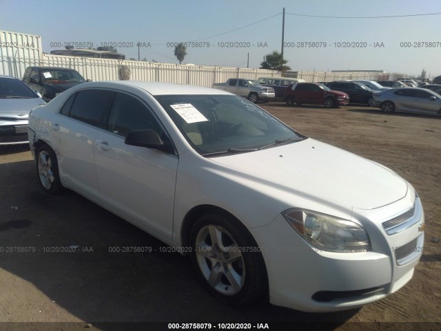 CHEVROLET MALIBU 2011 1g1za5eu5bf314555