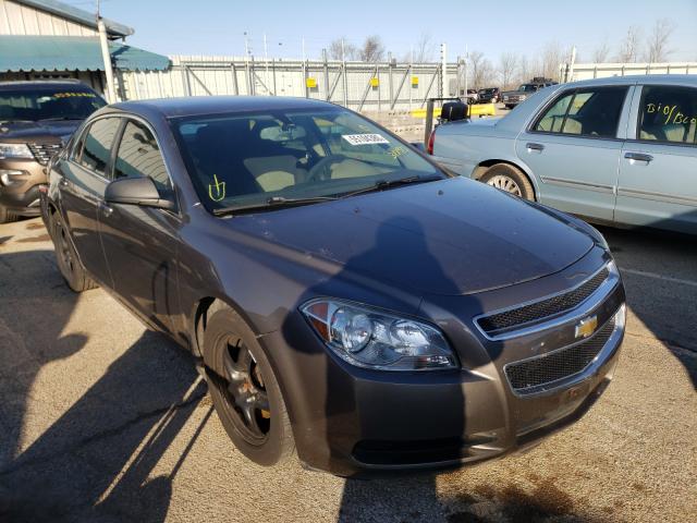 CHEVROLET MALIBU LS 2011 1g1za5eu5bf317973