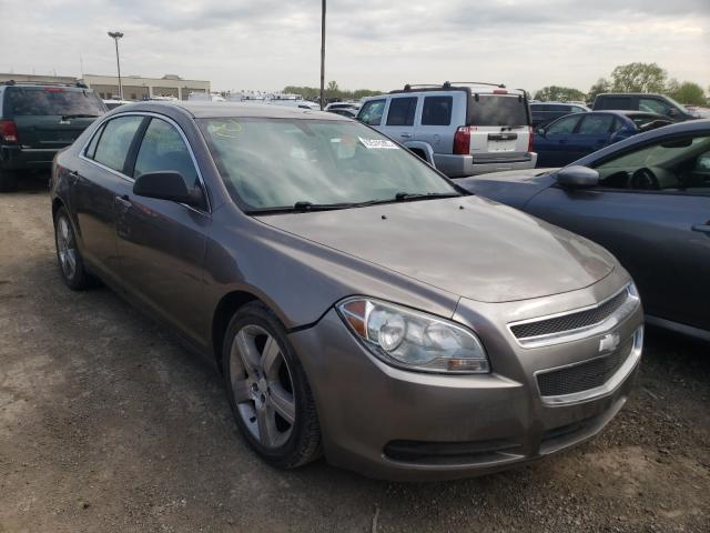 CHEVROLET MALIBU LS 2011 1g1za5eu5bf325653