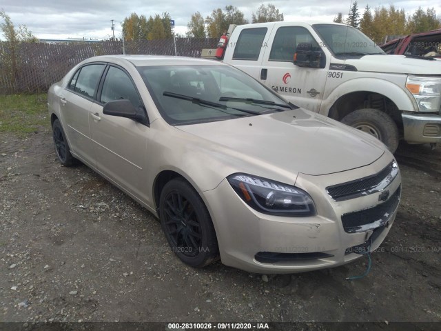 CHEVROLET MALIBU 2011 1g1za5eu5bf339942