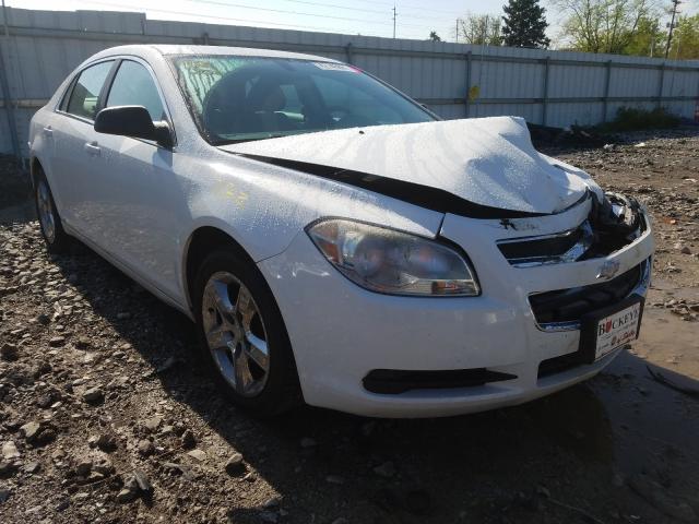 CHEVROLET MALIBU LS 2011 1g1za5eu5bf341870