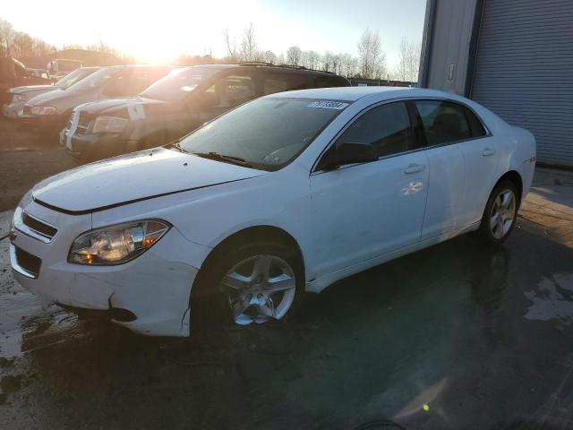 CHEVROLET MALIBU LS 2011 1g1za5eu5bf351735