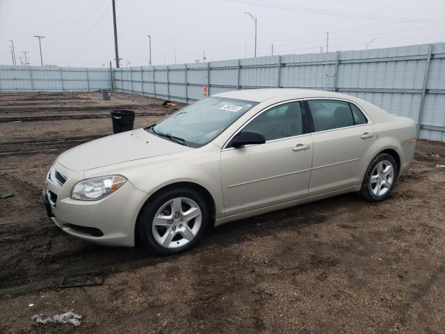 CHEVROLET MALIBU LS 2011 1g1za5eu5bf392849