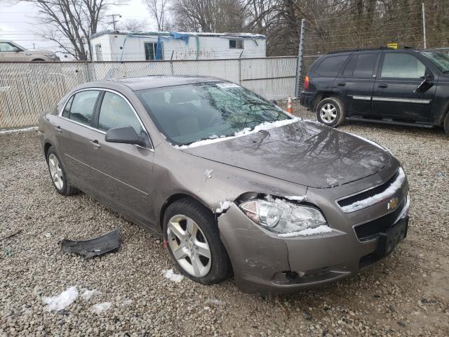 CHEVROLET MALIBU LS 2012 1g1za5eu5cf132906