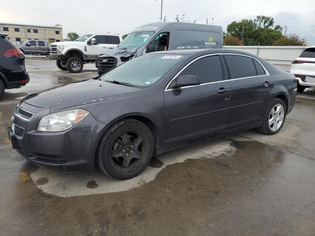 CHEVROLET MALIBU LS 2012 1g1za5eu5cf394490