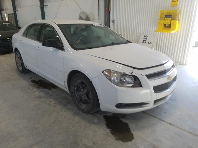 CHEVROLET MALIBU LS 2012 1g1za5eu5cf398801