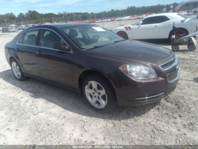 CHEVROLET MALIBU 2011 1g1za5eu6bf150667