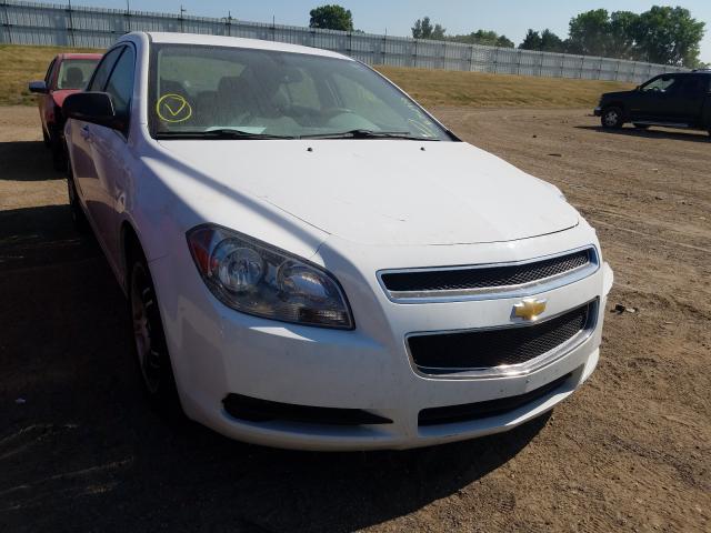 CHEVROLET MALIBU LS 2011 1g1za5eu6bf197679