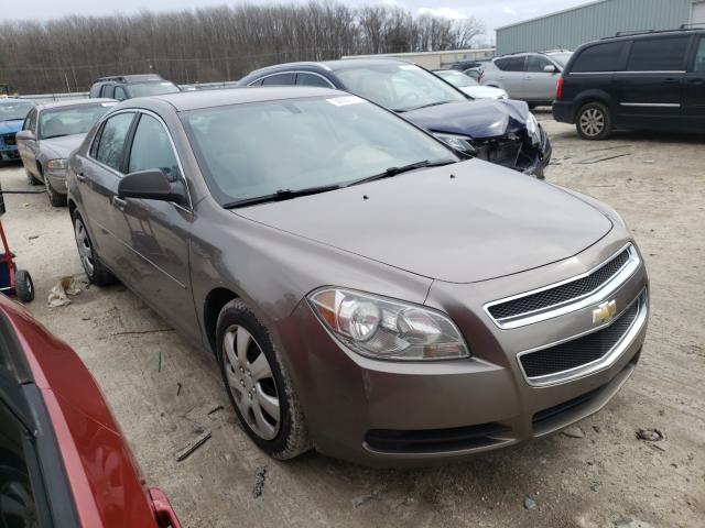 CHEVROLET MALIBU LS 2011 1g1za5eu6bf232303