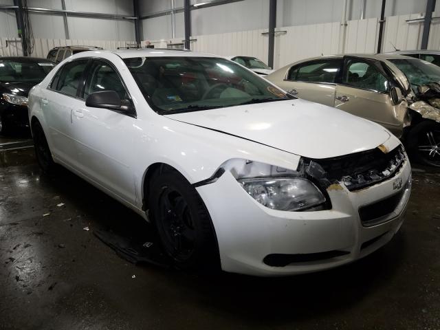 CHEVROLET MALIBU LS 2011 1g1za5eu6bf367409