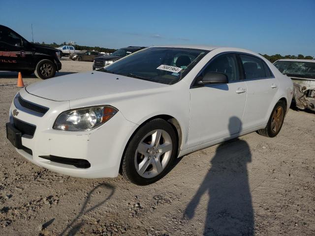 CHEVROLET MALIBU LS 2012 1g1za5eu6cf216877