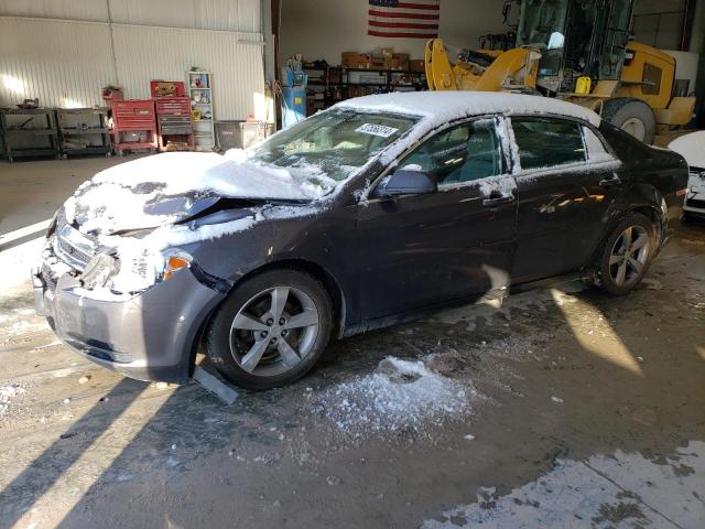 CHEVROLET MALIBU 2012 1g1za5eu6cf388696