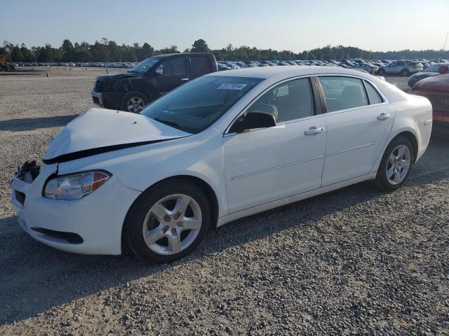 CHEVROLET MALIBU LS 2012 1g1za5eu6cf392487