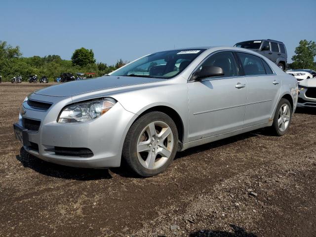 CHEVROLET MALIBU LS 2011 1g1za5eu7bf134591