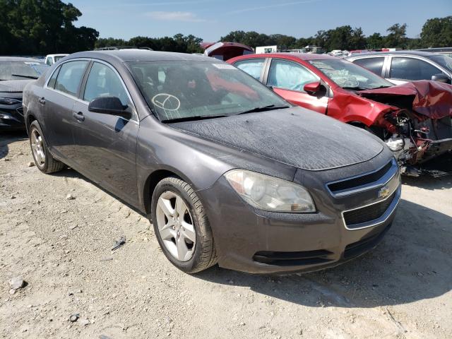 CHEVROLET MALIBU LS 2011 1g1za5eu7bf151343