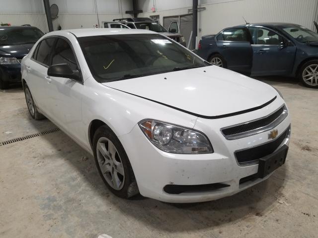 CHEVROLET MALIBU LS 2011 1g1za5eu7bf190482