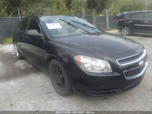 CHEVROLET MALIBU 2011 1g1za5eu7bf196282