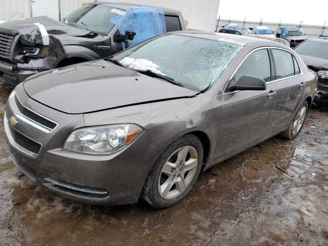 CHEVROLET MALIBU LS 2011 1g1za5eu7bf201609