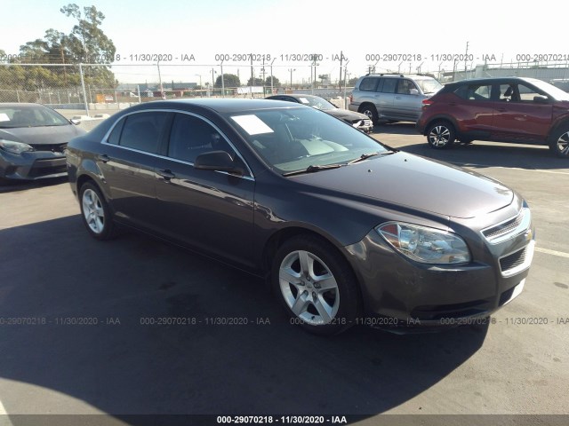 CHEVROLET MALIBU 2011 1g1za5eu7bf241060