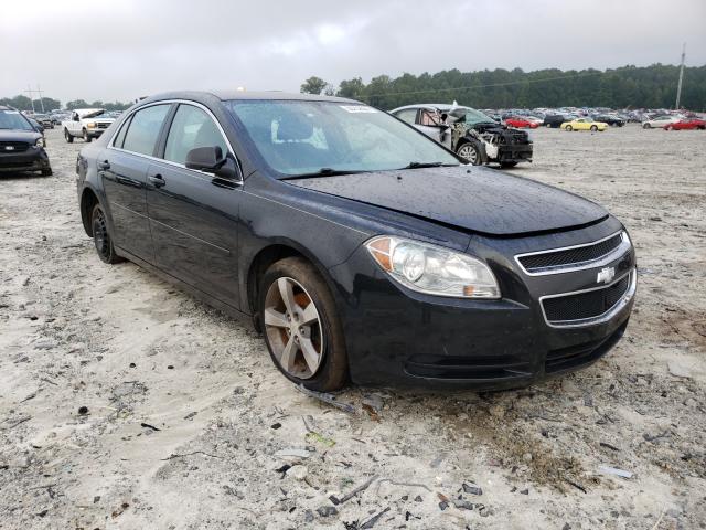 CHEVROLET MALIBU LS 2011 1g1za5eu7bf246582