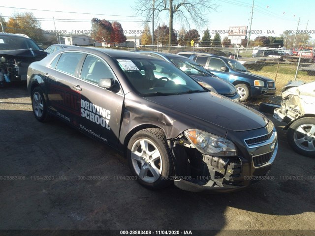 CHEVROLET MALIBU 2011 1g1za5eu7bf287231