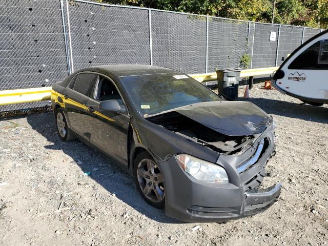 CHEVROLET MALIBU LS 2011 1g1za5eu7bf326383