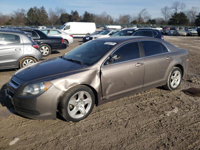 CHEVROLET MALIBU 2011 1g1za5eu7bf362770