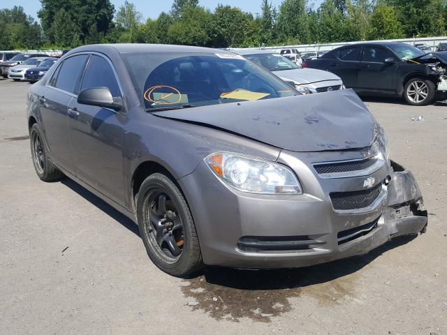 CHEVROLET MALIBU 2011 1g1za5eu7bf375339