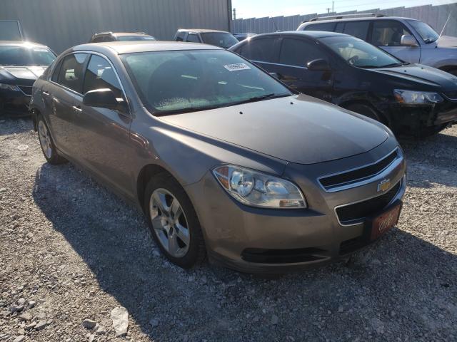 CHEVROLET MALIBU LS 2012 1g1za5eu7cf214328