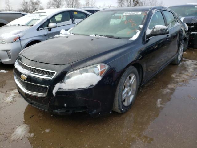 CHEVROLET MALIBU LS 2012 1g1za5eu7cf295461