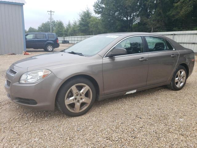 CHEVROLET MALIBU LS 2012 1g1za5eu7cf331939