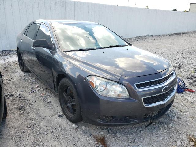 CHEVROLET MALIBU LS 2012 1g1za5eu7cf373737