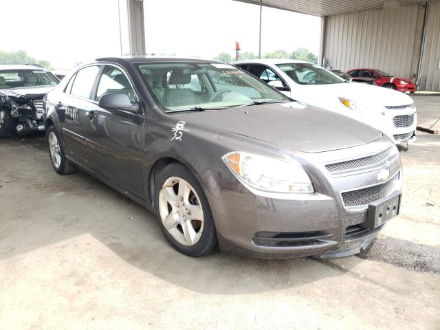 CHEVROLET MALIBU LS 2012 1g1za5eu7cf389601