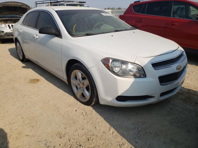 CHEVROLET MALIBU LS 2011 1g1za5eu8bf132882