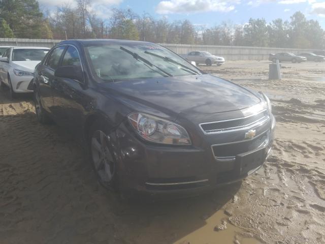 CHEVROLET MALIBU LS 2011 1g1za5eu8bf151027