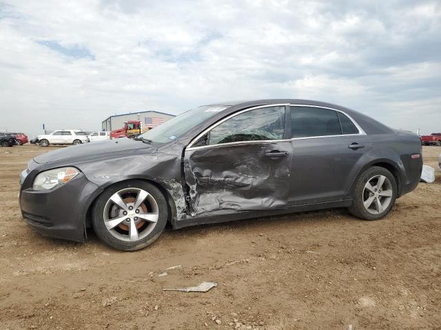 CHEVROLET MALIBU LS 2011 1g1za5eu8bf162979