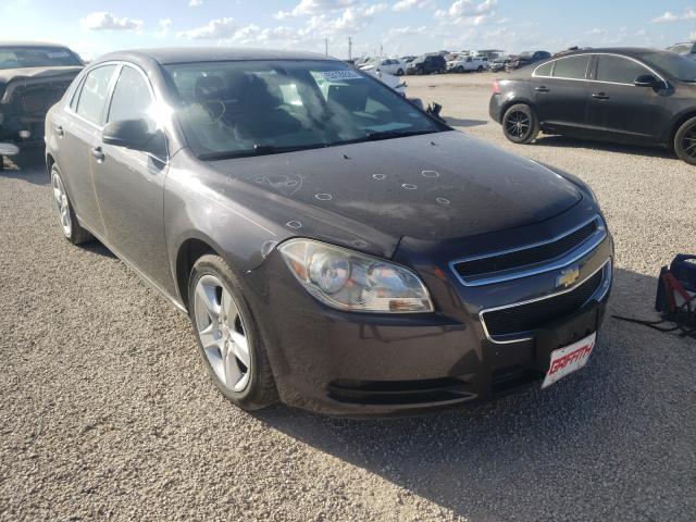 CHEVROLET MALIBU LS 2011 1g1za5eu8bf164554