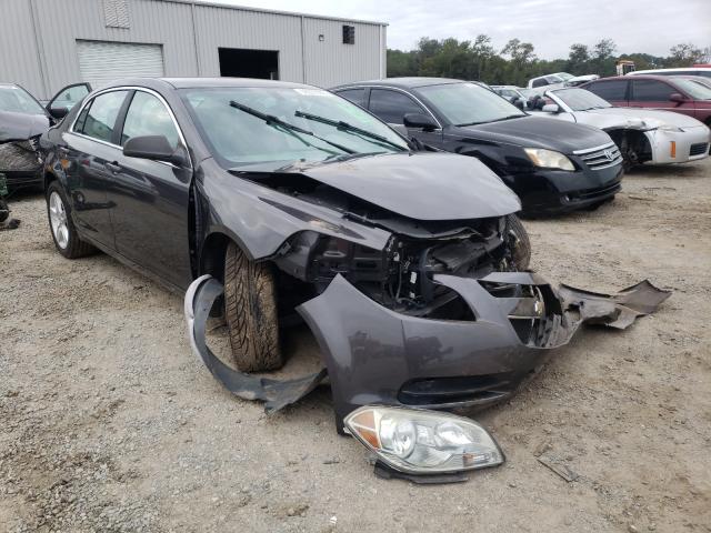 CHEVROLET MALIBU LS 2011 1g1za5eu8bf239897