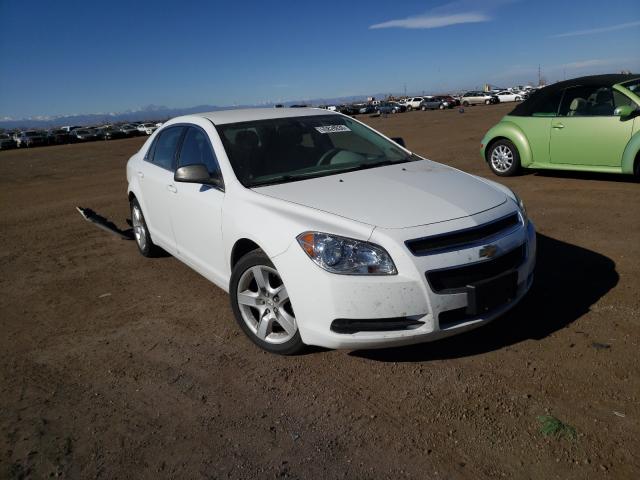 CHEVROLET MALIBU LS 2011 1g1za5eu8bf307924