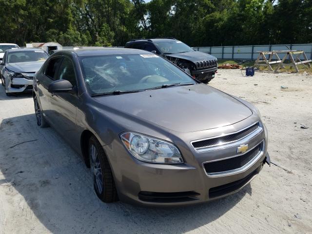 CHEVROLET MALIBU LS 2011 1g1za5eu8bf341815