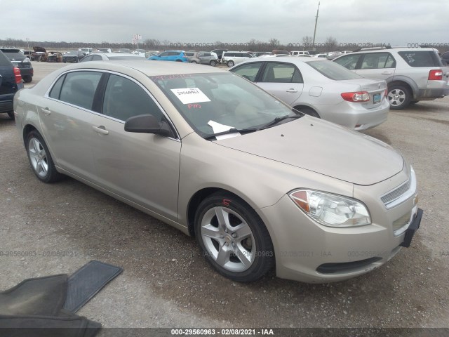 CHEVROLET MALIBU 2011 1g1za5eu8bf342804