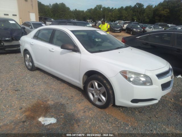 CHEVROLET MALIBU 2011 1g1za5eu8bf343175