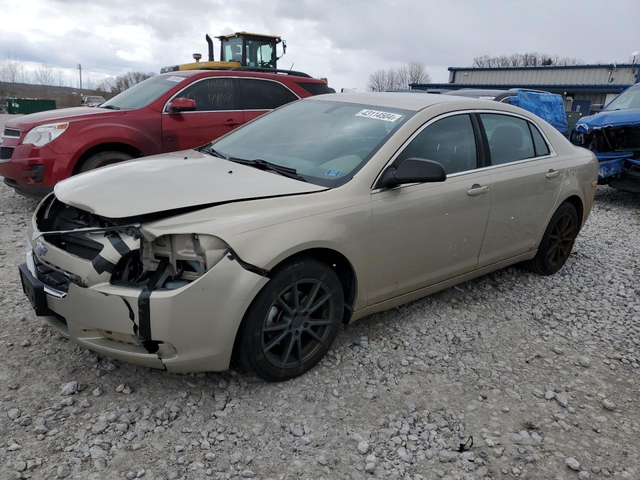 CHEVROLET MALIBU 2011 1g1za5eu8bf343452