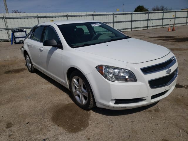 CHEVROLET MALIBU LS 2011 1g1za5eu8bf351485