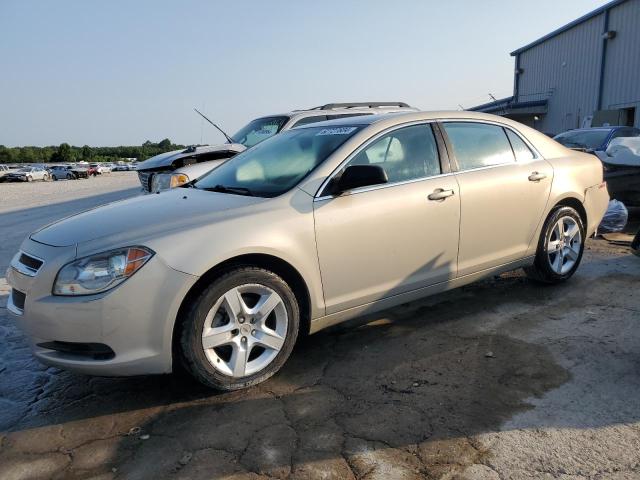 CHEVROLET MALIBU 2011 1g1za5eu8bf352961