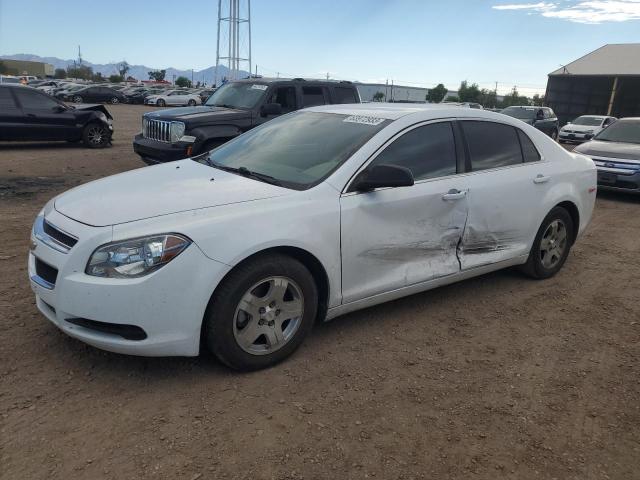 CHEVROLET MALIBU LS 2011 1g1za5eu8bf377276