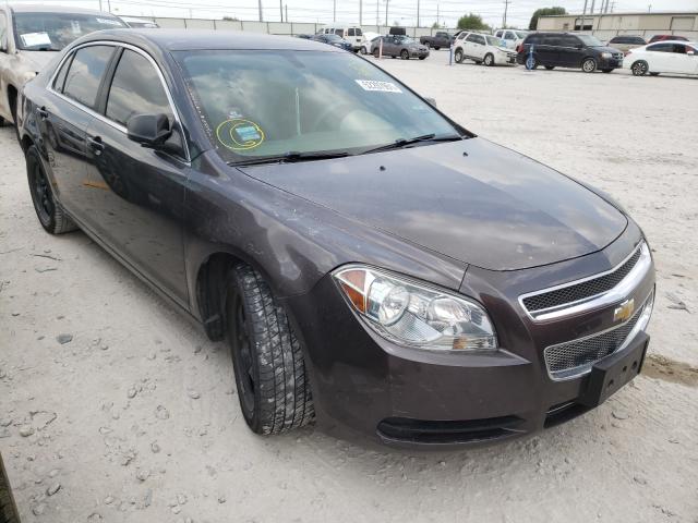 CHEVROLET MALIBU LS 2012 1g1za5eu8cf369731