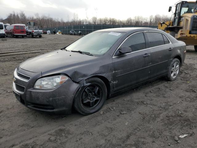 CHEVROLET MALIBU LS 2012 1g1za5eu8cf393270