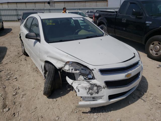 CHEVROLET MALIBU LS 2012 1g1za5eu8cf398517