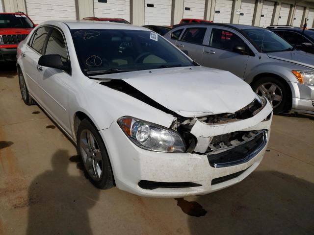 CHEVROLET MALIBU LS 2012 1g1za5eu8cf398730